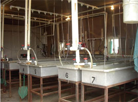 Inside Hatchery