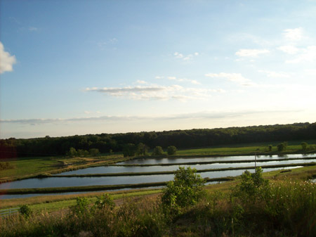 Pond and lake stocking