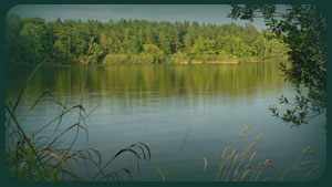 Private Pond, stocked by Harrison fishery